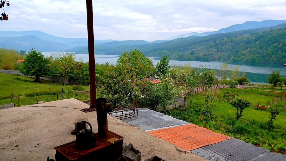 جنگل سرخرود کجاست؟ راهنمای کامل نزدیک‌ترین جنگل به سرخرود + آدرس و فاصله