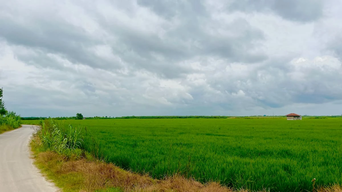 قیمت زمین بابلسر | معرفی مناطق مناسب بر اساس بودجه شما